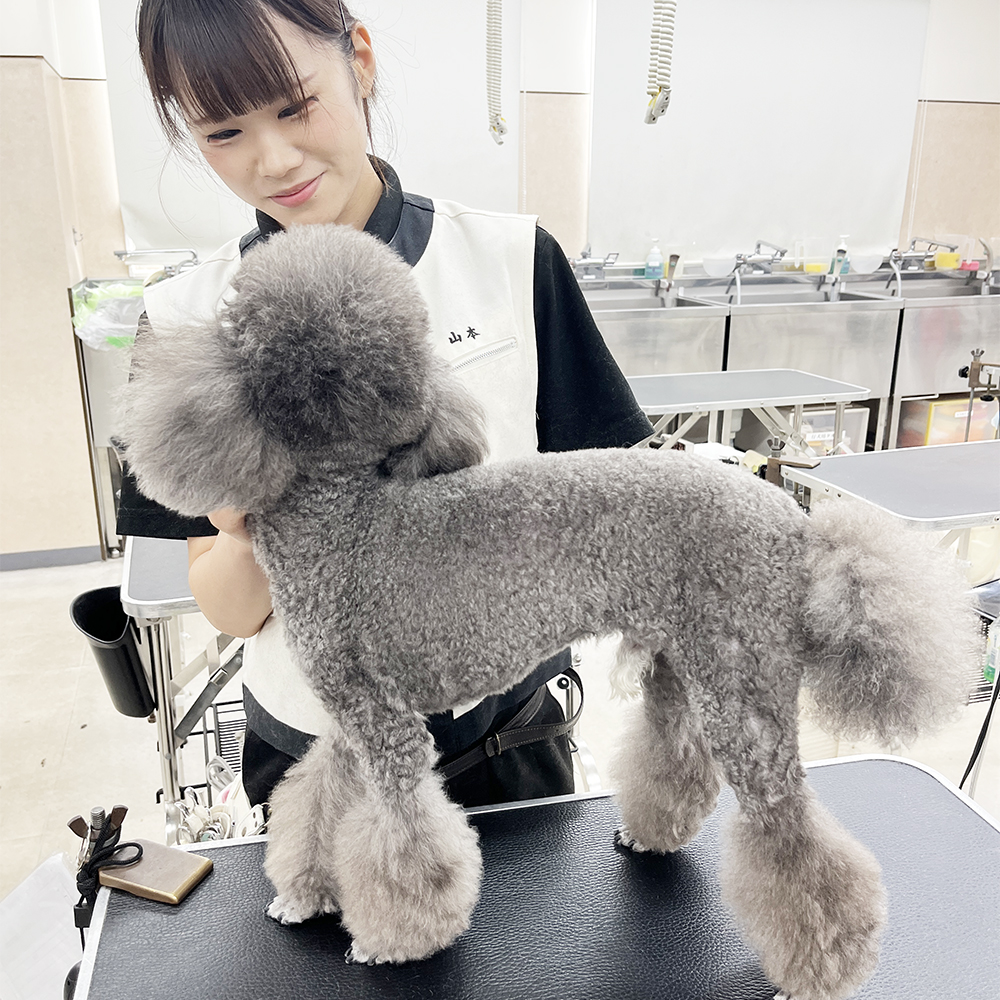 ２年生が担当しているかわいいお客様♪